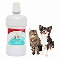 Dental Water Bioline