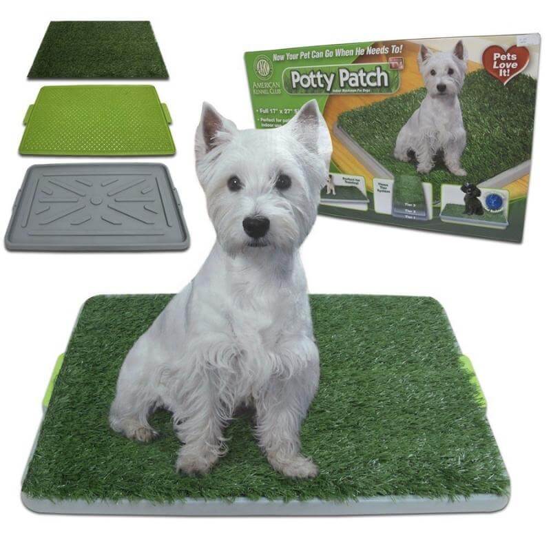 Baño Sanitario Ecológico para Perros Medianos