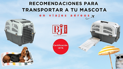 Recomendaciones para viajar en avión con tu mascota en transportinos