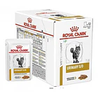 Royal Canin Urinary S/O Feline 85 Gr Pack 12 Und 2
