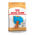 Royal Canin Poodle Cachorro 3 Kg 1