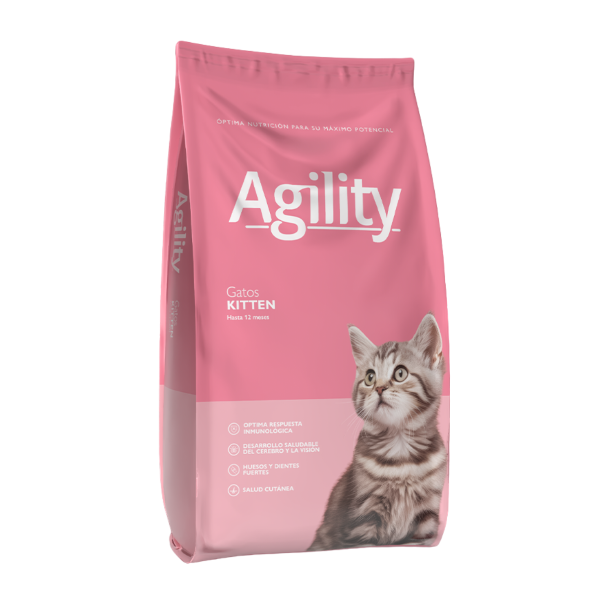Agility Gato Kitten 10kg