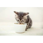 Cliente Gosbi Natsbi 2