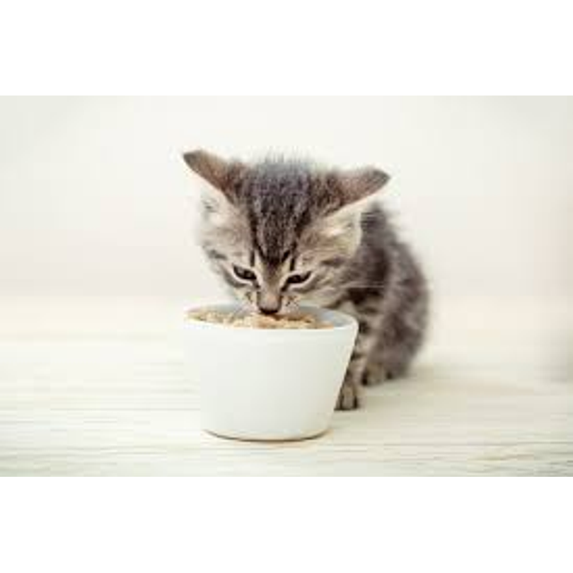 Cliente Gosbi Natsbi