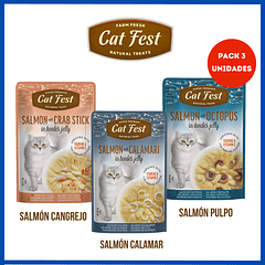 Pack Cat Fest Sabores Salmon 3 Pouch