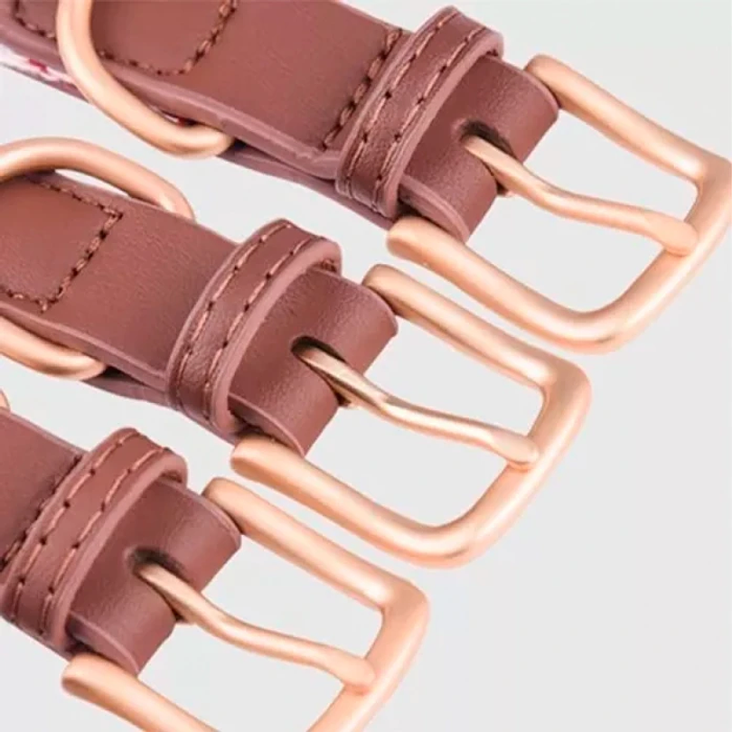 Collar Eco Cuero y Algodon Para Perros y Gatos Desde 2