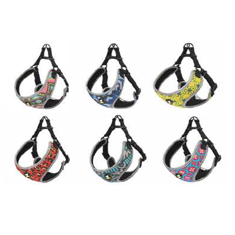 Arnes Diseño Amy Variedades Desde 1