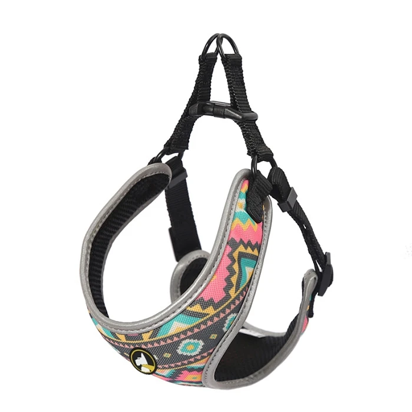 Arnes Diseño Amy Variedades Desde 2