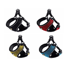 Arnes Diseño Max Variedades Desde 1