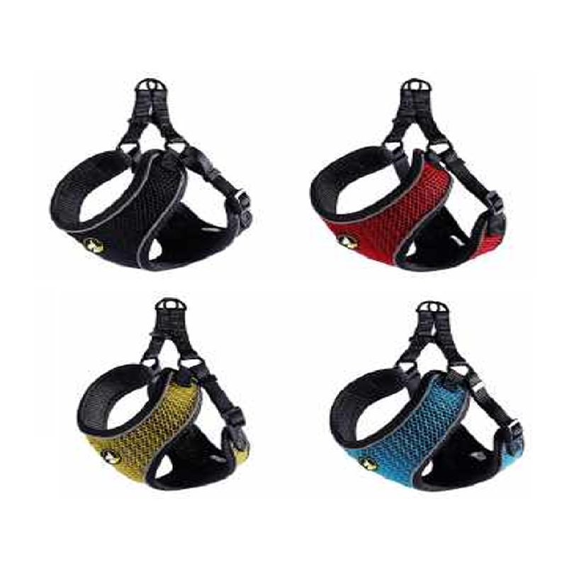 Arnes Diseño Max Variedades Desde 1