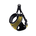 Arnes Diseño Max Variedades Desde 2