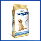 Dog Evolution Cachorro 15 Kg 2