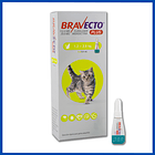 Bravecto Plus Felino 1.2 a 2.8 kg  2