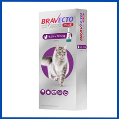 Bravecto Plus Gato 6.25 a 12.5 kg