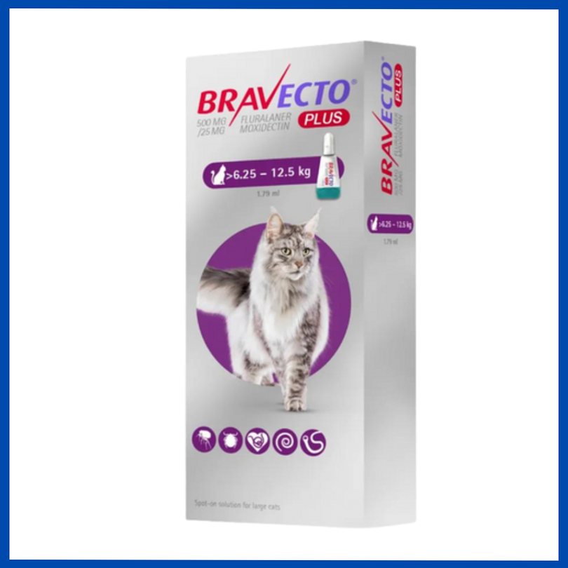 Bravecto Plus Gato 6.25 a 12.5 kg 2