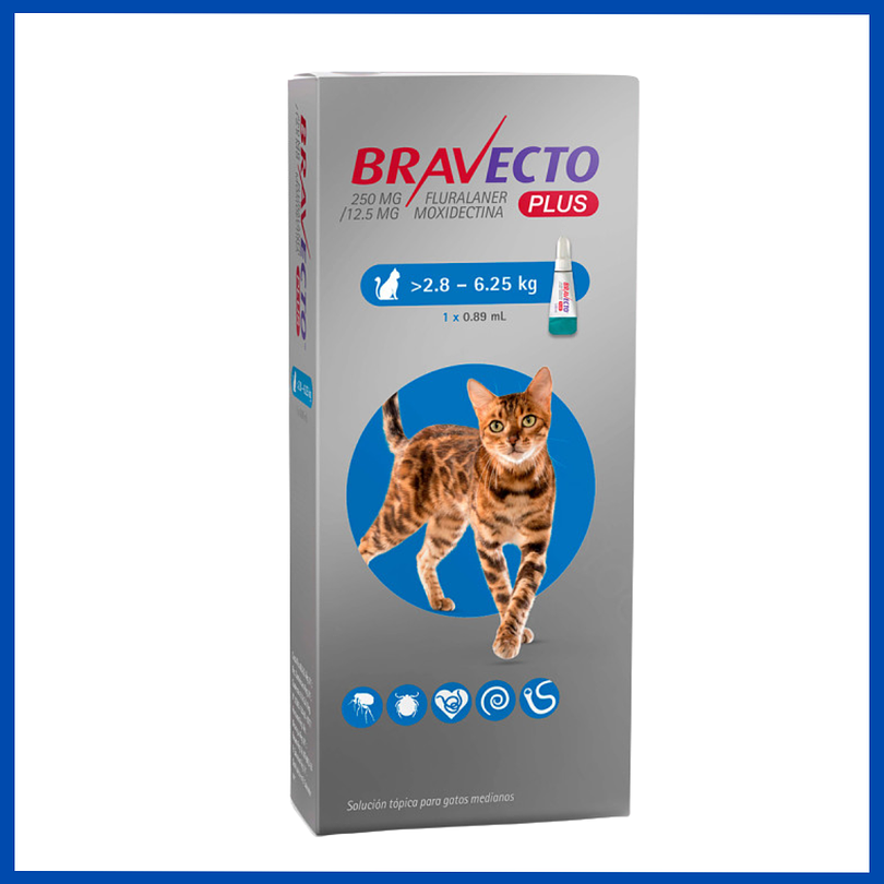 Bravecto Plus Gato 2.8 a 6.25 Kg  2