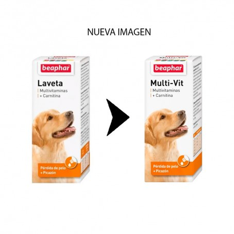 Laveta + Carnitine X 50 Ml. 3