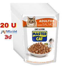 Alimento Húmedo Master Cat Salmon Display 20 U