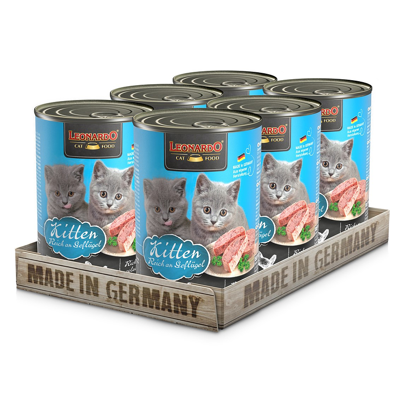 Pack 6 Latas Leonardo Qs Kitten 400 Gr 1