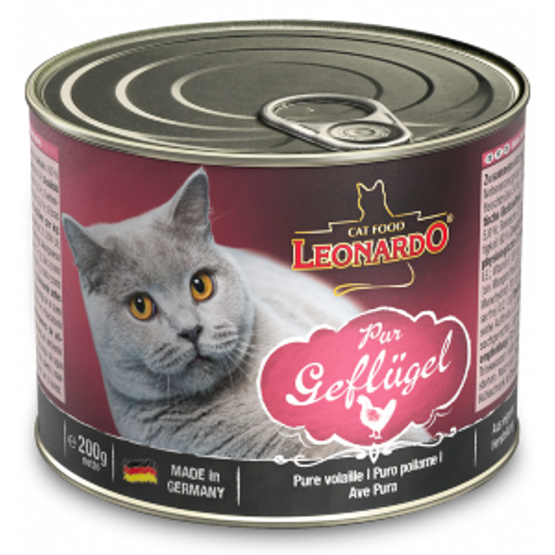 Pack 6 Latas Leonardo Qs Ave 400 Gr 2