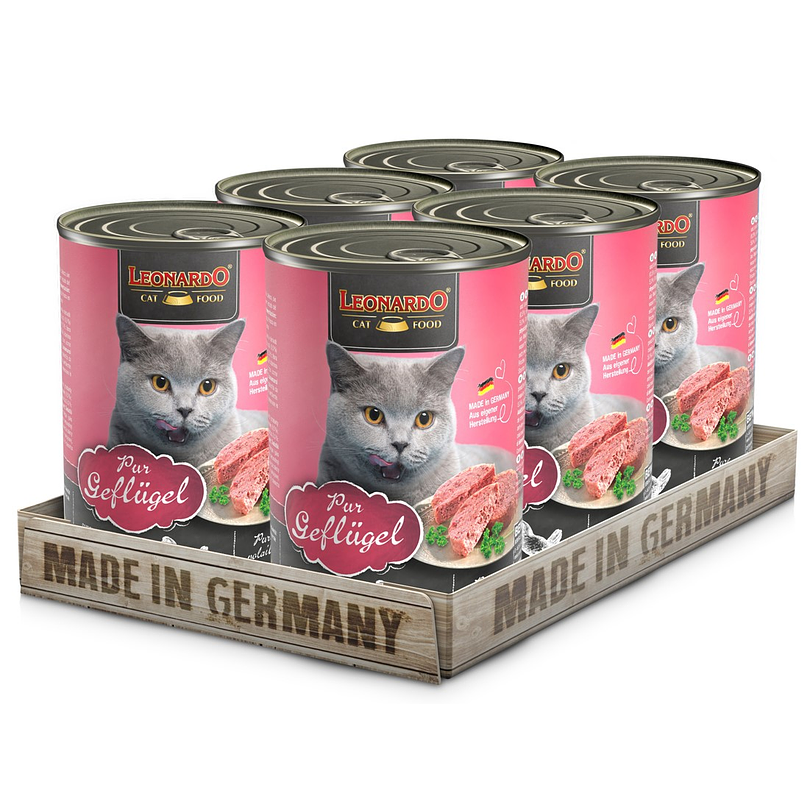 Pack 6 Latas Leonardo Qs Ave 400 Gr 1