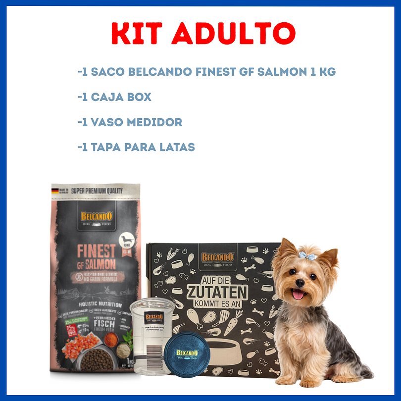 Belcando Finest Gf Salmon 1 Kg 1