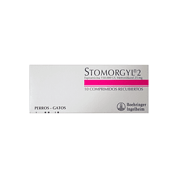 Stomorgyl 2 X 10 Comprimidos