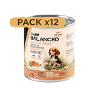 Pack 12 Latas Natural Recipe Filetes Carne Perro Cachorro 340 Gr 2