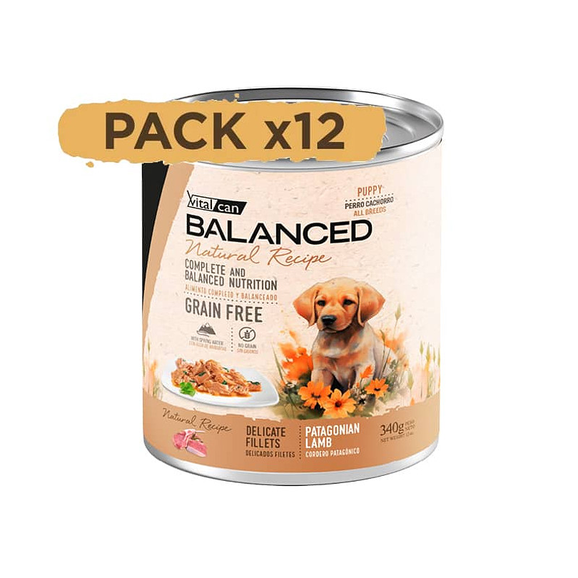 Pack 12 Latas Natural Recipe Filetes Codero Perro Cachorro 340 Gr