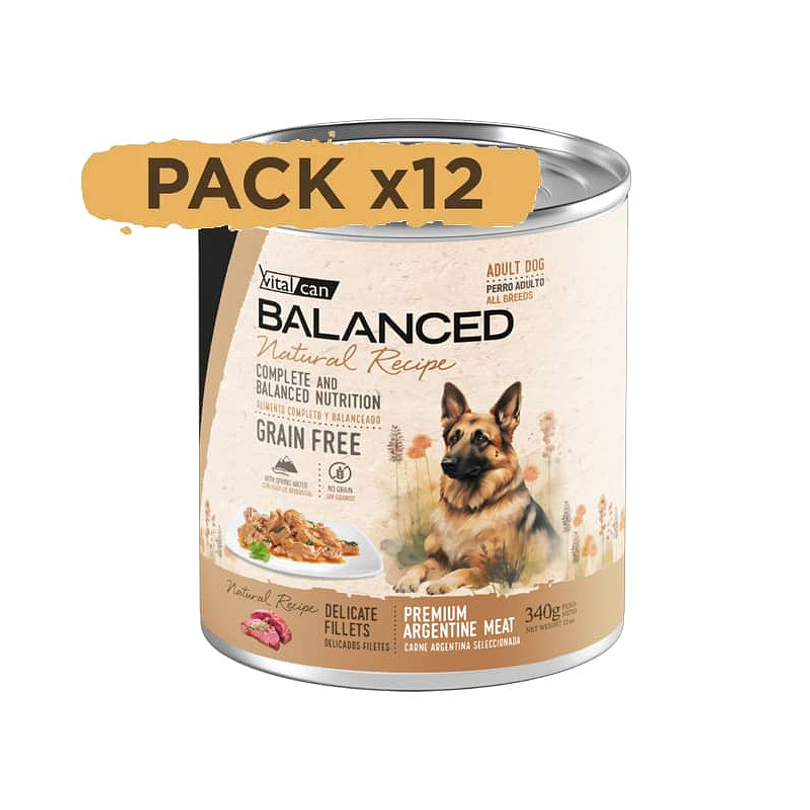 Pack 12 Latas Natural Recipe Filetes Carne Perro Adulto 340 Gr
