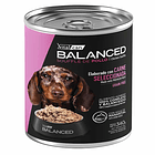 Pack 12 Latas Balanced Perro Cachorro Carne 340 Gr 2