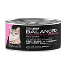 Pack 12 Latas Balanced Souffle Kitten  Merluza 85 Gr 2