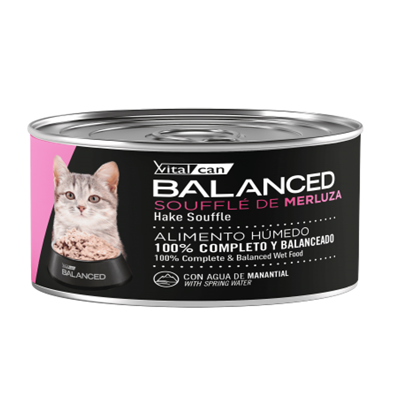 Pack 12 Latas Balanced Souffle Kitten  Merluza 85 Gr 2