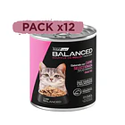 Pack 12 Latas Balanced Souffle Kitten Pollo 340 Gr 2