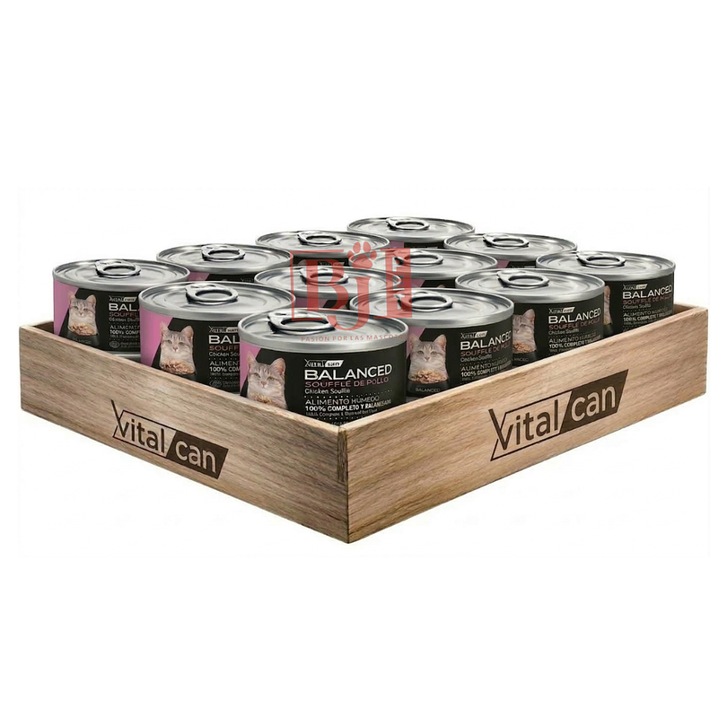 Pack 12 Latas Balanced Souffle Kitten  Pollo 85 Gr 1
