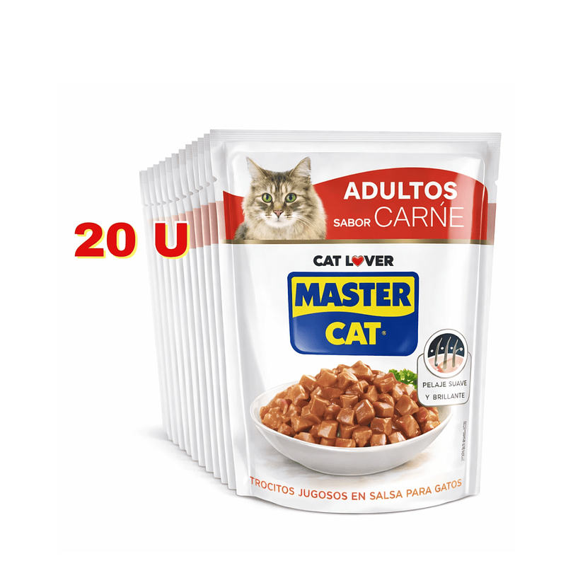 Alimento Húmedo Master Cat Carne Display 20 U