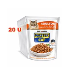 Alimento Húmedo Master Cat Salmon Display 20 U 2