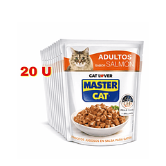 Alimento Húmedo Master Cat Salmon Display 20 U