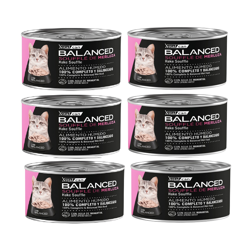 Pack 6 Latas Balanced Souffle Kitten Merluza 85 Gr