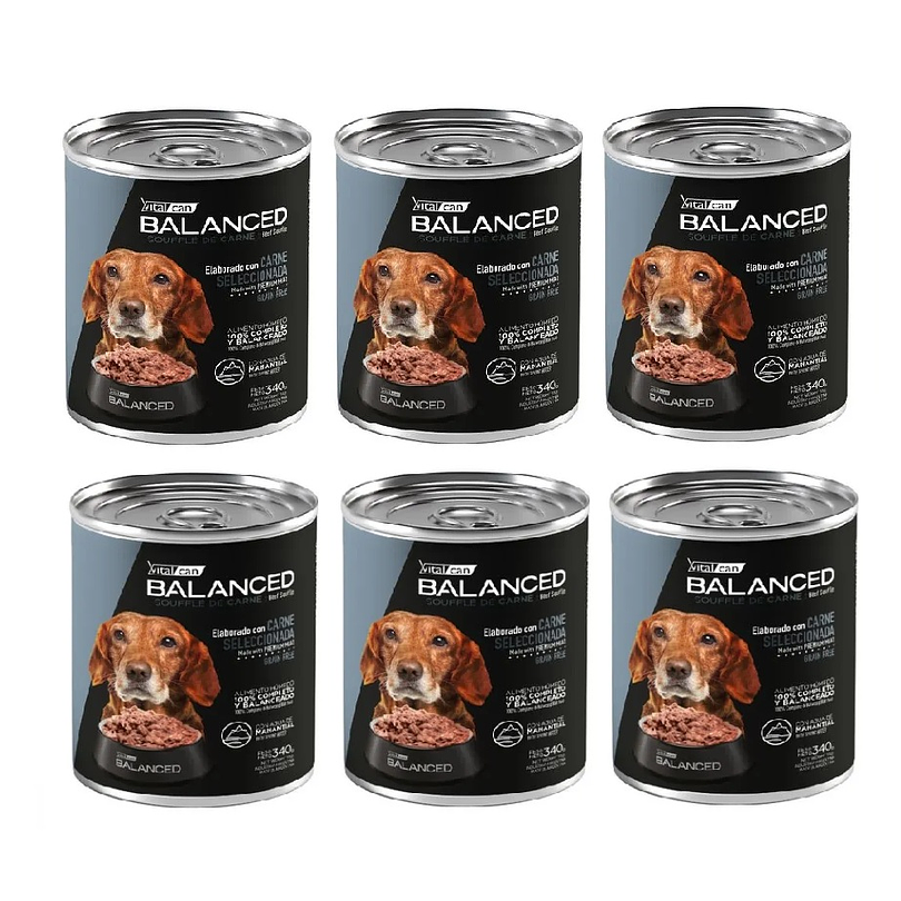 Pack 6 Latas Balanced Souffle Perro Senior Carne 340 Gr