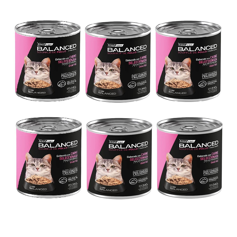 Pack 6 Latas Balanced Souffle Kitten Pollo 340 Gr