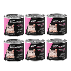 Pack 6 Latas Balanced Souffle Kitten Merluza 340 Gr