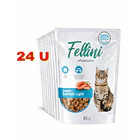 Pack Fellini Salmon Light 24 Pouch 1