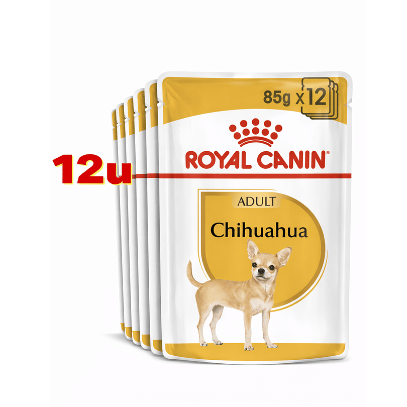 Royal Canin Chihuahua Pouch 85 Gr Pack 12 Und
