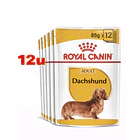 Royal Canin Dachshund Pouch 85 Gr Pack 12 Und 2