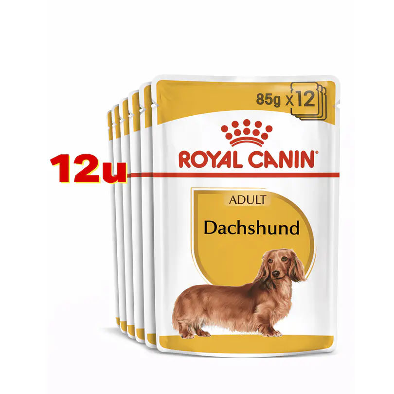 Royal Canin Dachshund Pouch 85 Gr Pack 12 Und 2