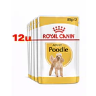 Royal Canin Poodle Pouch 85 Gr Pack 12 Und 2