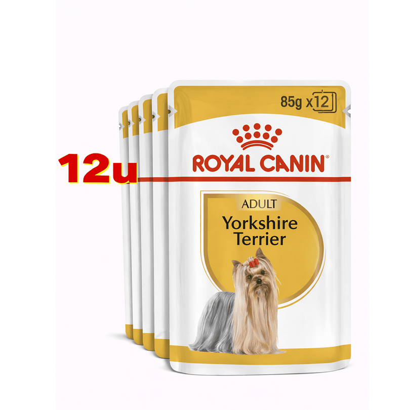 Royal Canin Yorkshire Pouch 85 Gr Pack 12 Und