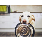 Cliente Gosbi Natsbi 1