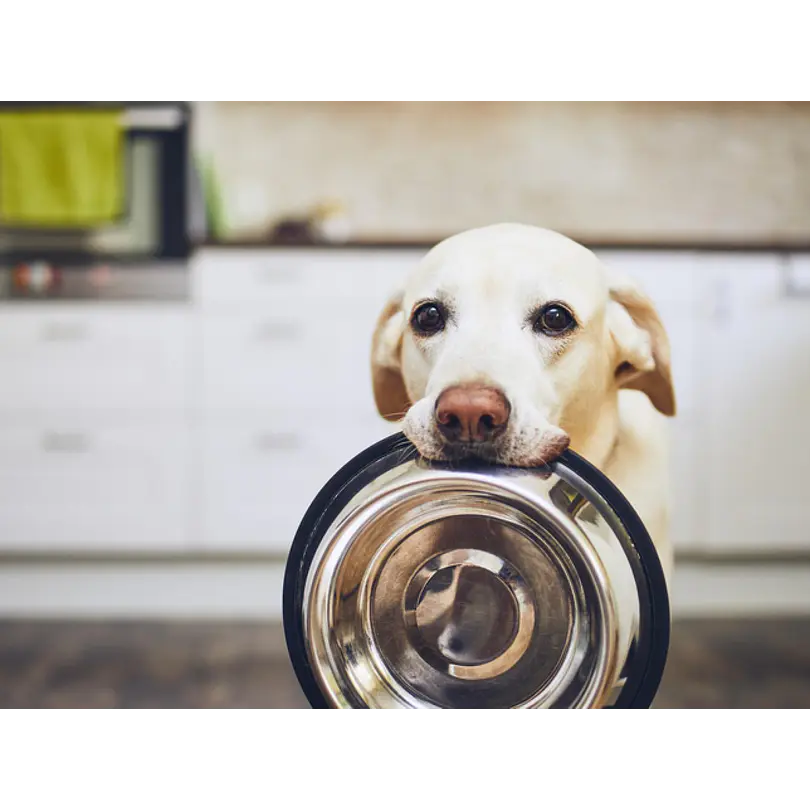 Cliente Gosbi Natsbi 1